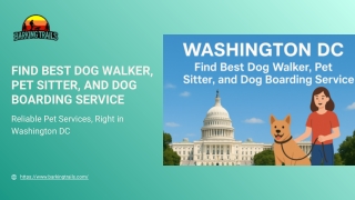 Find Best Dog Walker, Pet Sitter, and Dog Boarding Service