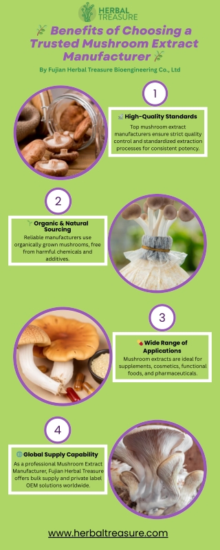 Choose Fujian Herbal Treasure – your trusted Mushroom Extract Manufacturer