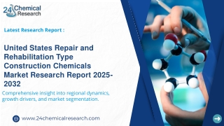 United States Repair and Rehabilitation Type Construction Chemicals Market Research Report 2025-2032