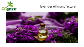 lavender oil manufacturer