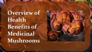 Overview of Health Benefits of Medicinal Mushrooms