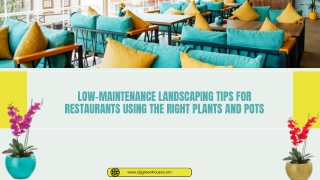 Low-Maintenance Landscaping Tips for Restaurants Using the Right Plants and Pots
