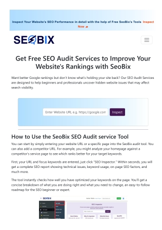 SEO Audit Services to Improve Your Website's Rankings with SeoBix
