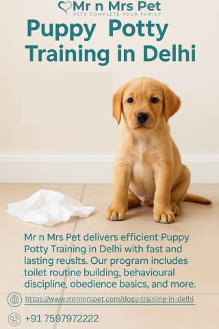 Puppy Potty Training in Delhi