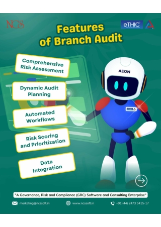 Features of Branch Audit