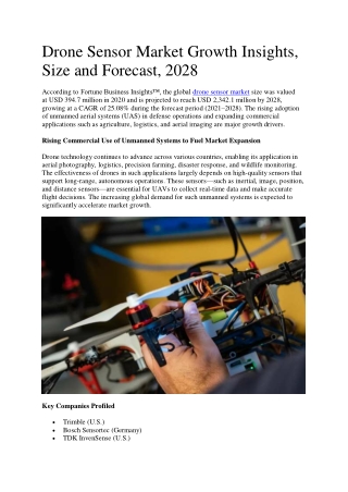 Drone Sensor Market Size