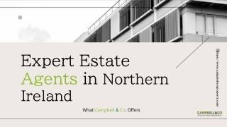 Expert Estate Agents in South Belfast What Campbell & Co Offers