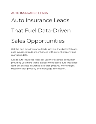 AUTO INSURANCE LEADS