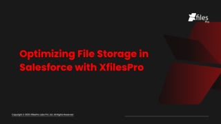 optimizing file storage in salesforce with