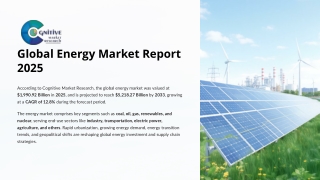 Energy Market Report 2025