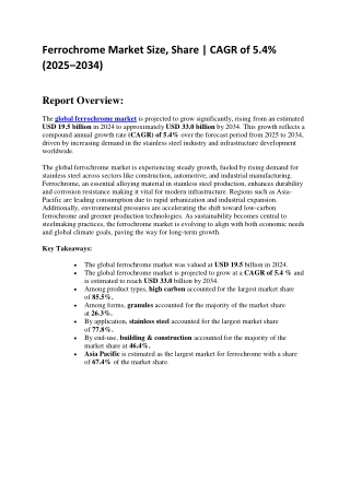 Ferrochrome Market Insights | Industrial Use & Demand Forecast