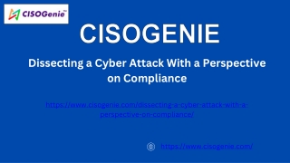 dissecting a cyber attack with a perspective