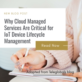Why Cloud Managed Services Are Critical for IoT Device Lifecycle Management