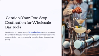 Caraido: Your One-Stop Destination for Wholesale Bar Tools
