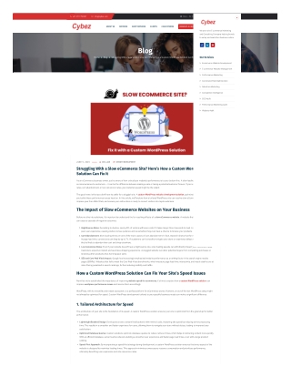 Struggling With a Slow eCommerce Site? Custom WordPress Solution