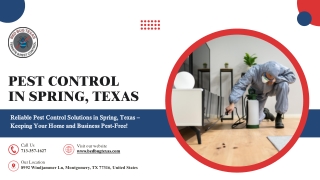 Professional Pest Control Services in Spring, TX - Bedbug Texas