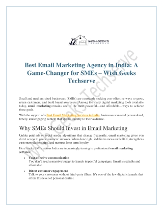 Best Email Marketing Agency in India-A Game-Changer for SMEs - Wish Geeks Techserve
