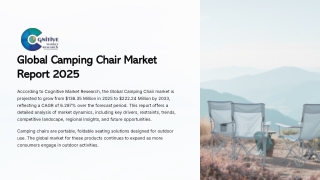 Camping Chair Market Report 2025