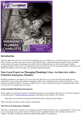 Your Local Expert on Managing Plumbing Crises: An Interview with a Charlotte Eme