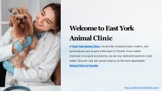 Animal Surgery Clinic in East York | Expert Surgical Care for Pets