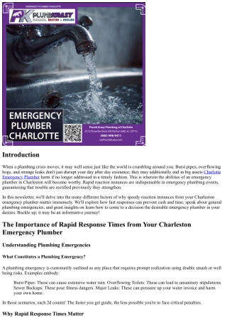 The Importance of Rapid Response Times from Your Charleston Emergency Plumber
