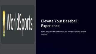 elevate your baseball experience
