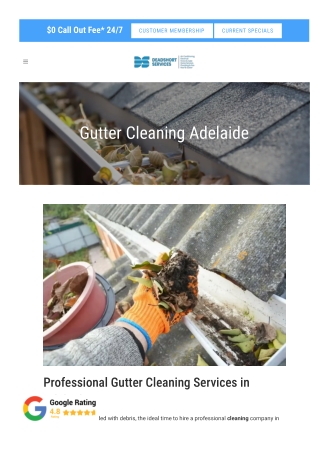 Gutter Cleaning Adelaide