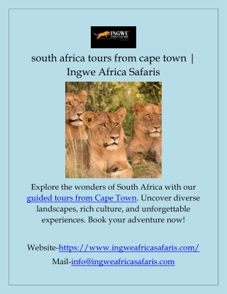 south africa tours from cape town | Ingwe Africa Safaris