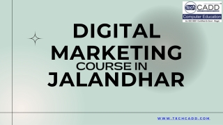best Digital Marketing Course in Jalandhar