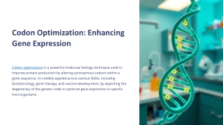 codon optimization enhancing gene expression