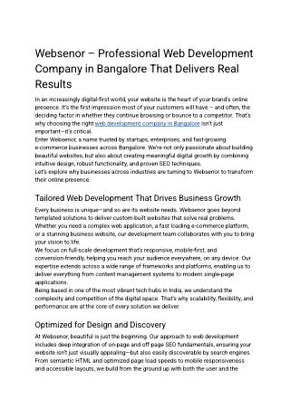 websenor professional web development company