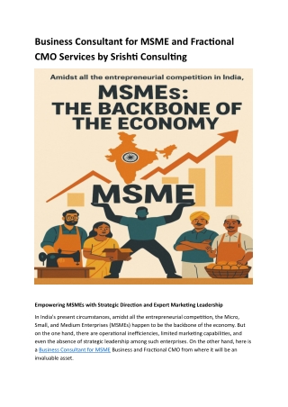 Business Consultant for MSME and Fractional CMO Services by Srishti Consulting