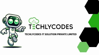 techlycodes it solution private limited