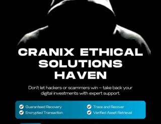 RECOVER LOST BITCOIN,ETHEREUM & USDT WITH CRANIX ETHICAL SOLUTIONS HAVEN