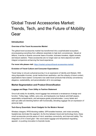 Global Travel Accessories Market: Trends, Tech, and the Future of Mobility Gear
