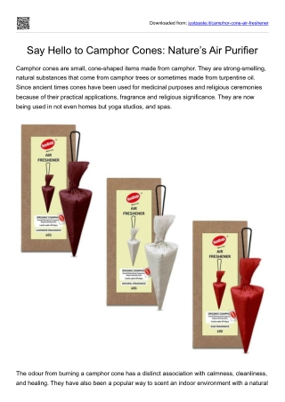 Say Hello to Camphor Cones- Nature’s Air Purifier