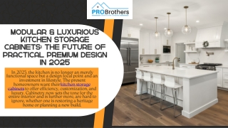 Modular & Luxurious Kitchen Storage Cabinets The Future of Practical Premium Design in 2025