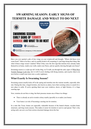 Professional Termite Exterminator Services Throughout Texas