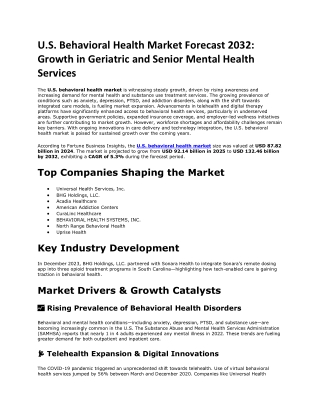 U.S. Behavioral Health Market Size and Forecast 2032: Revenue by Payer Type
