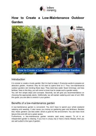 How to Create a Low-Maintenance Outdoor Garden