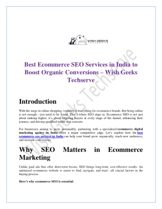 Best Ecommerce SEO Services in India to Boost Organic Conversions – Wish Geeks Techserve