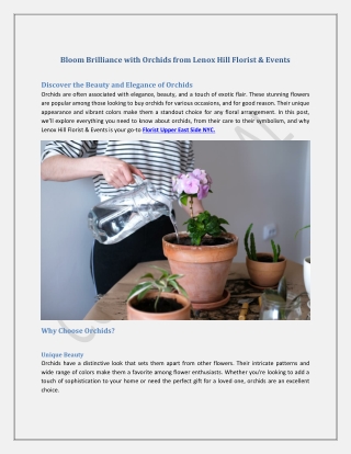 bloom brilliance with orchids from lenox hill