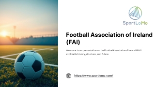 Football-Association-of-Ireland-FAI.pdf