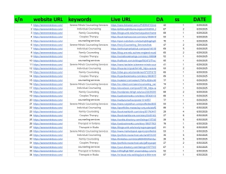 https___serenemindscs.com_ - 2nd month