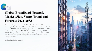Broadband Network Market Report Size, Share, Trend and Forecast 2021-2033