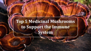 Top 5 Medicinal Mushrooms to Support the Immune System
