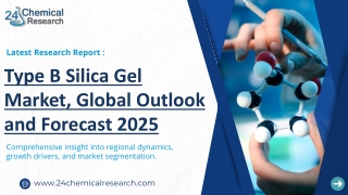 Type B Silica Gel Market, Global Outlook and Forecast 2025