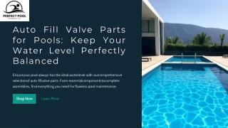 Pool Autofill Valve Replacement by Perfect Pool
