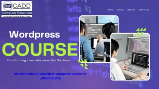 Best WordPress Course in Jalandhar