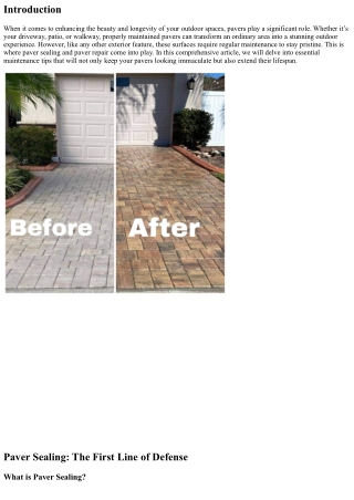 Paver Sealing and Repair: Essential Maintenance Tips for a Pristine Outdoor Expe